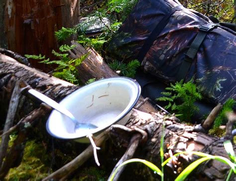 Лесная газета Денеко