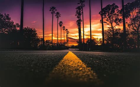 Download Wallpapers California Evening Sunset Palm Trees Yellow