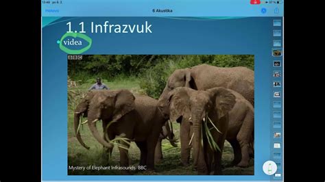 Aplikovaná Fyzika 11 Akustika Ultrazvuk A Infrazvuk Youtube