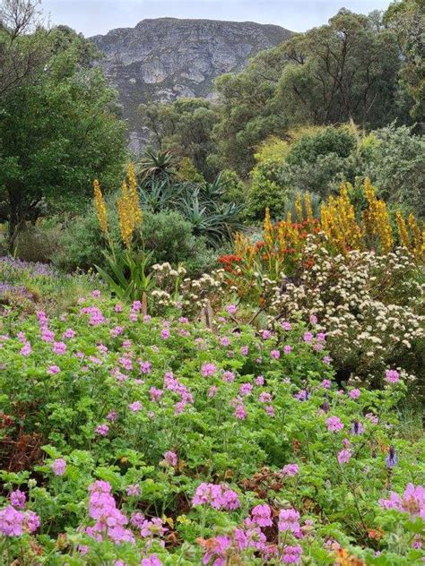 Fynbos Gardens | Landscaping, Maintenance, Irrigation & Nursery in Hermanus