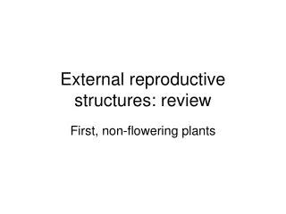 Ppt External Female Sex Organs And Reproductive Structures Powerpoint Presentation Id