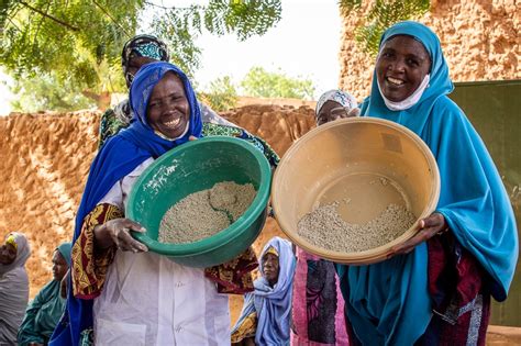 S Minaire D Cryptage Des Causes Et D Terminants De La Crise Au Sahel