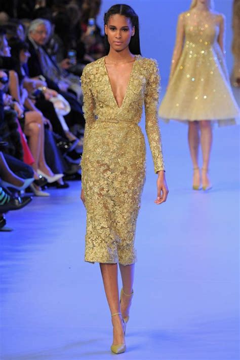 Elie Saab Haute Couture Springsummer 2014 Fashion Gone Rogue