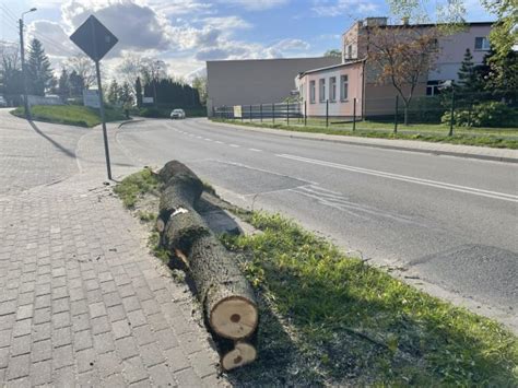 Zako Czy A Si Wycinka Drzew Pod Inwestycj Na Ul Ceynowy Foto