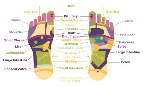 Reflexology Internally Happy Massage And Holistic Healing