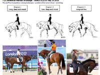 7 Rollkur ideas | horses, horse facts, horse riding tips