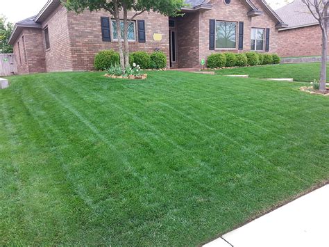 Lawn Boy Services Amarillo Lawn And Tree Care Service