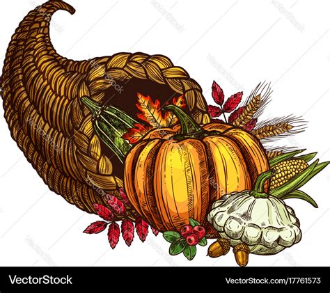 Thanksgiving Day Cornucopia Sketch Harvest Vector Image