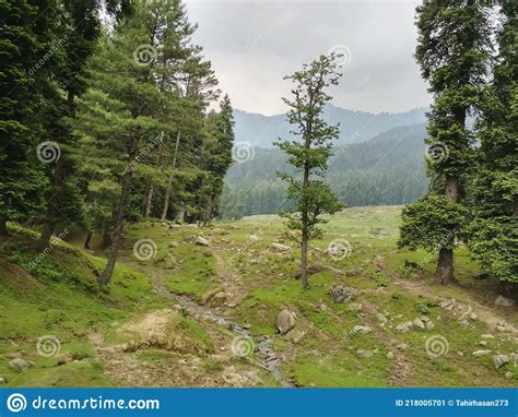 A Greenery View Of A Hill Stock Image Image Of View 218005701