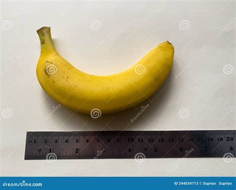 The Size Of A Large Banana On A White Background Stock Image Image Of