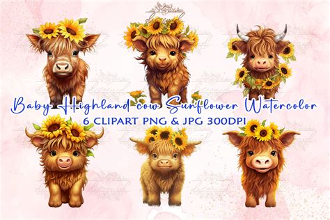 Highland Cow Sunflower Clipart Graphic By Nastine · Creative Fabrica