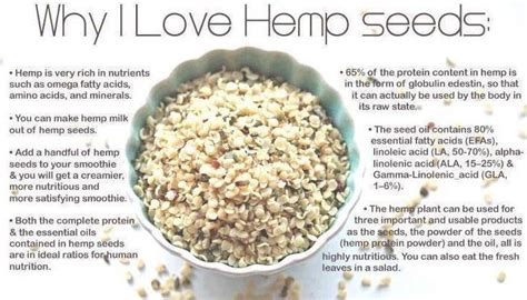 Hemp Seeds And The Nutritional Benefits - Crash Course - Fitneass