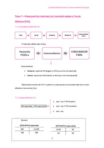 Contabilidad Tema 7 Pdf