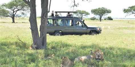 Dar-es-salaam Safari Tours | 2022 Tanzania Safari » Tanzania Travel Guide