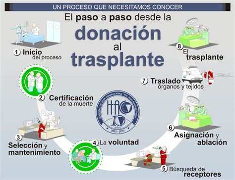 Lo que hay que saber de la donación al trasplante de órganos paso a