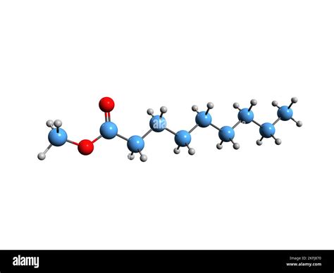 3d Image Of Methyl Nonanoate Skeletal Formula Molecular Chemical