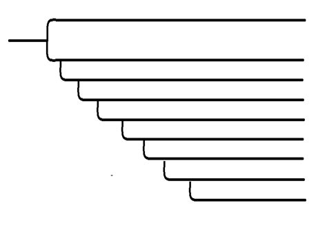 Animal Diversity Diagram Quizlet
