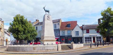 hertford ladybird voice solutions