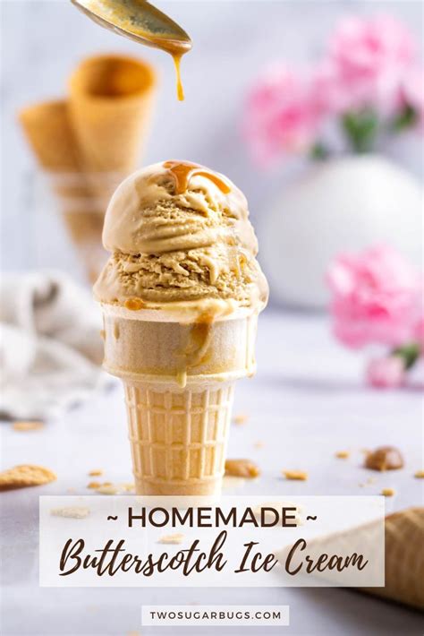 Creamy Butterscotch Ice Cream Two Sugar Bugs