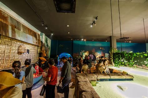 Touch Pool Angkor Wildlife And Aquarium