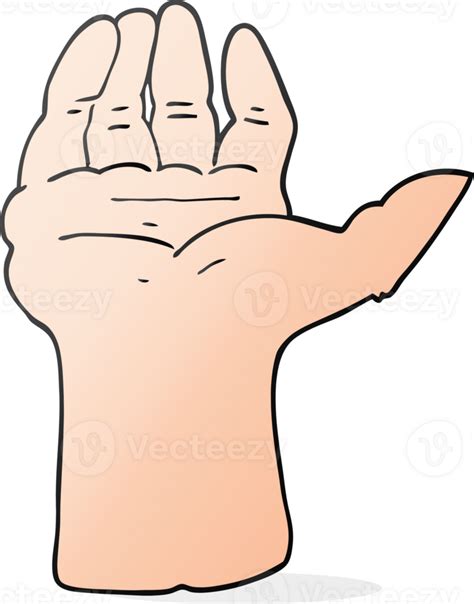 Cartoon Open Hand 36485393 Png