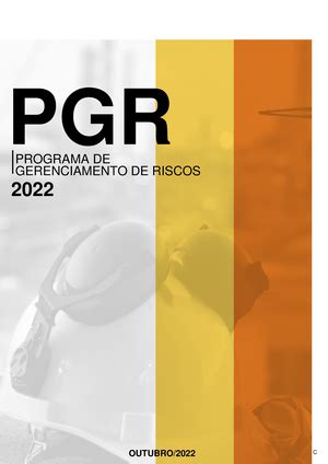 NR 01 Atualizada 2020 NORMA REGULAMENTADORA N 01 DISPOSIES