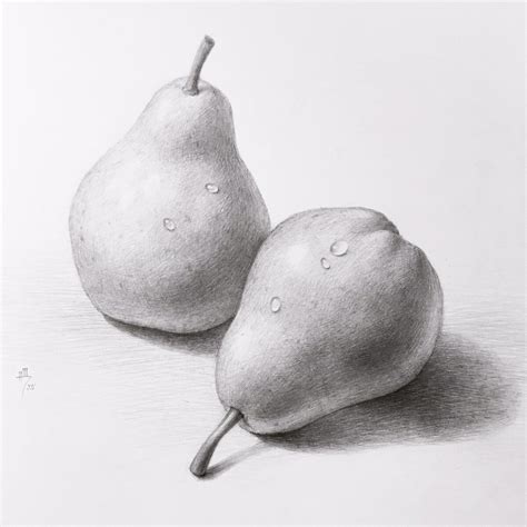 Рисунок груши карандашом - 68 фото