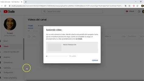 Como Subir Videos Ocultos A Youtube Youtube