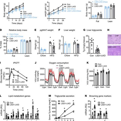 FGF21 Is Involved In LSD1 Regulated Glucose And Lipid Metabolism A