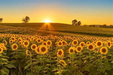 iowa  ultimate guide