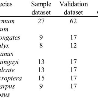 Accuracy Assessment for Dominant Tree Species Classification | Download ... 