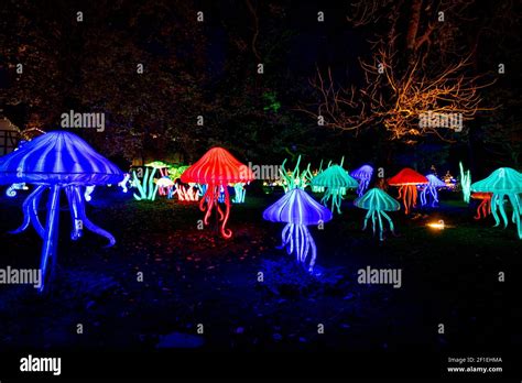 Europa-Park Theme Park Germany Winter Season Stock Photo - Alamy