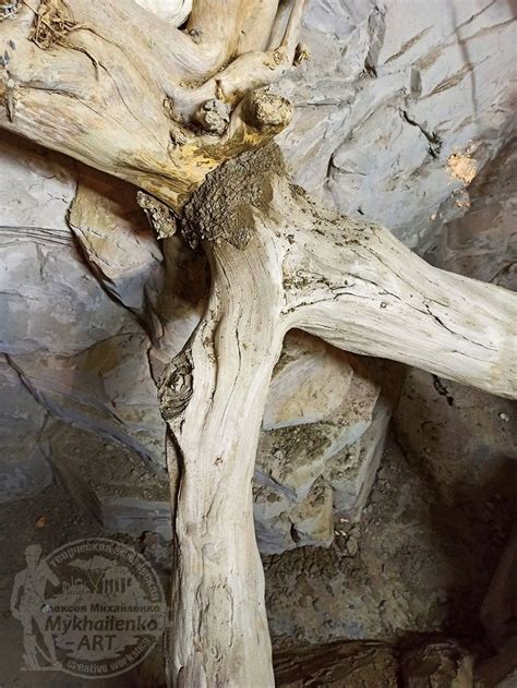 Искусственная коряга | Animals