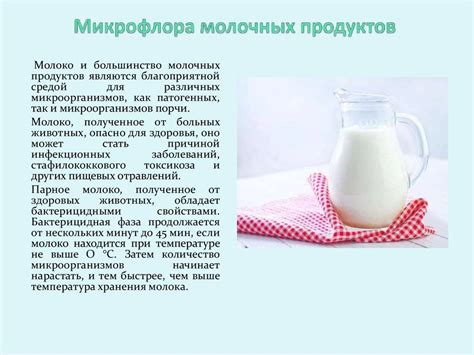 Ацидофилин: польза и вред для организма человека, что это за продукт