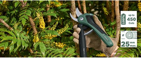 Bosch elektrische Gartenschere EasyPrune (integrierter 3,6 Volt Akku ...