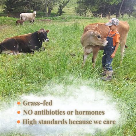 Grass Fed Whipped Beef Tallow Balm Grass Finished Tallow Skincare