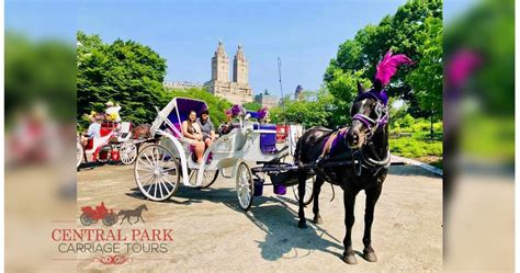 Central Park Horse and Carriage Rides in New York