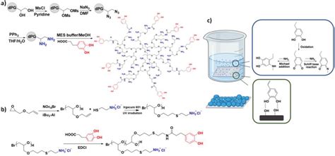 Mussel‐inspired polyglycerol polymers. a) Structure of dPG40 with 40% ...