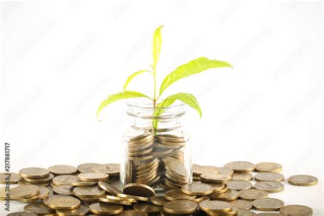 деньги разные и растение на ярком фоне Stock Photo | Adobe Stock