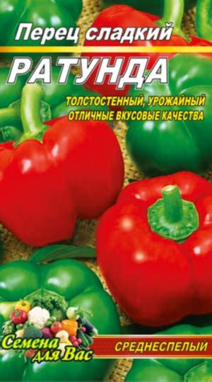 Перец Ратунда Описание Фото – Telegraph