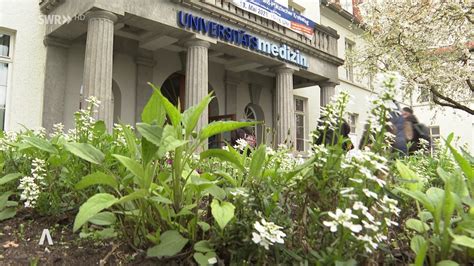 Uniklinik Mainz Patientenregister – VJIPHE