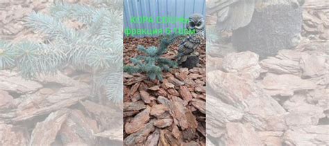 Кора для мульчирования купить в Тюмени | Товары для дома и дачи | Авито