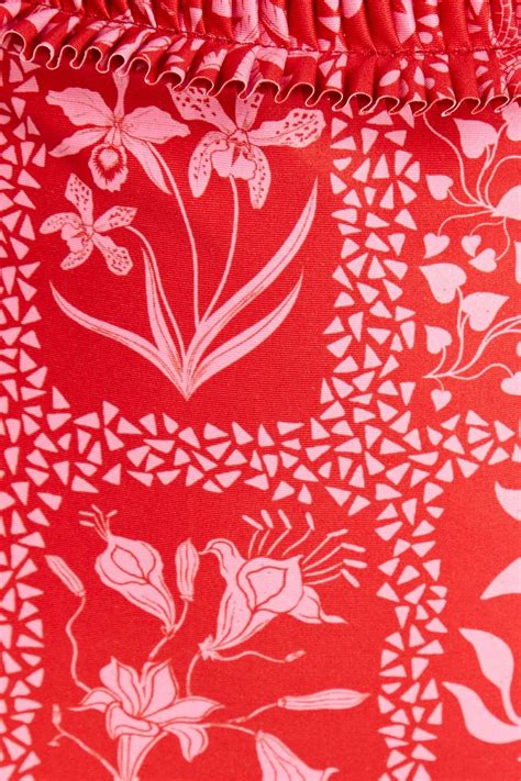 AGUA BY AGUA BENDITA Nopal Ipanema Escarlata Ruffled Printed High Rise Bikini Briefs THE OUTNET