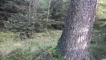 Geile Arschfotze Pissing Pissing Porn Xhamster