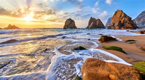 atlantic ocean fun facts  tees  tees