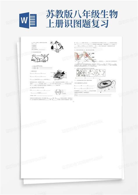 苏教版八年级生物上册识图题复习word模板下载编号ljabazax熊猫办公
