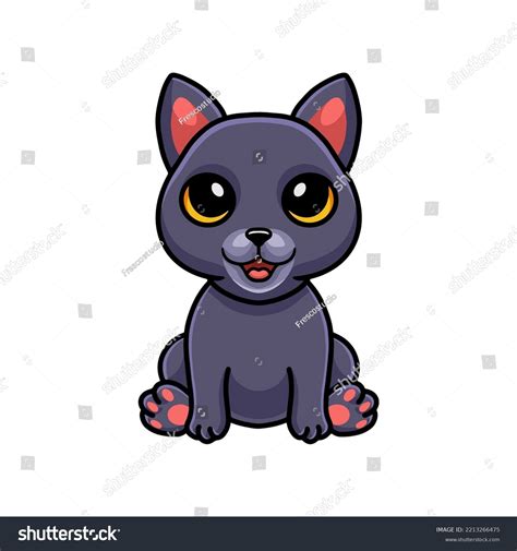 Cute Chartreux Cat Cartoon Sitting Stock Vector Royalty Free