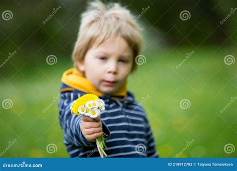 Beau Gosse Blond Enfant Mignon Garçon Couché Dans Lherbe Image Stock