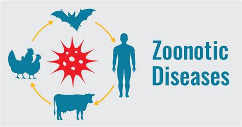 Understanding Zoonotic Diseases: A Global Health challenge