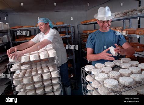 Two Men Producing Homemade Goats Cheese In A Freezer Stock Photo Alamy